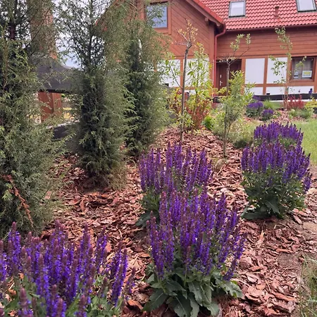 Kaszubski Dom Ostoja Bukowo Borowy Mlyn