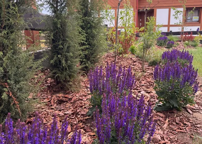 Kaszubski Dom Ostoja Bukowo Borowy Mlyn